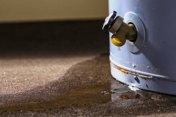 Best Carpet water damage restoration  in Wilkshire Hills, OH