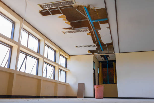 Best Basement water damage restoration  in Wilkshire Hills, OH