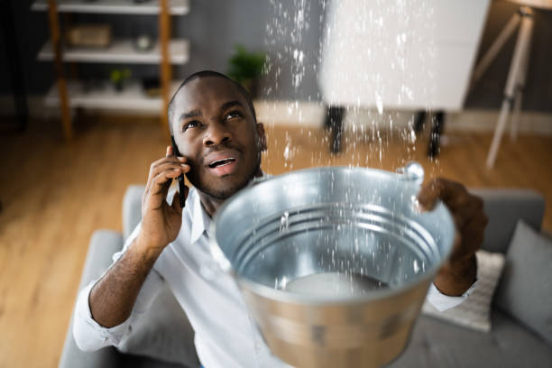 Carpet water damage restoration in Wilkshire Hills, OH