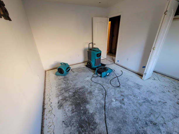 Best Carpet water damage restoration  in Wilkshire Hills, OH
