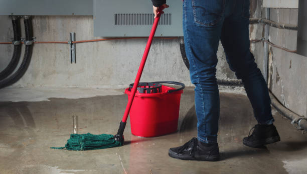 Best Flood restoration services  in Wilkshire Hills, OH