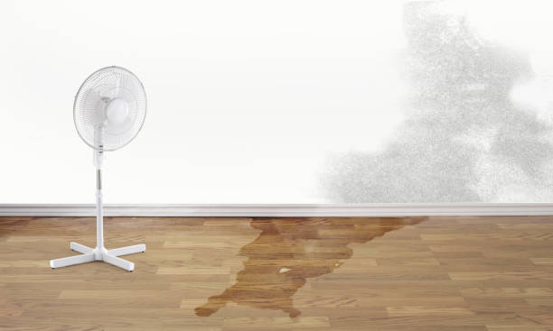 Best Local water damage restoration  in Wilkshire Hills, OH