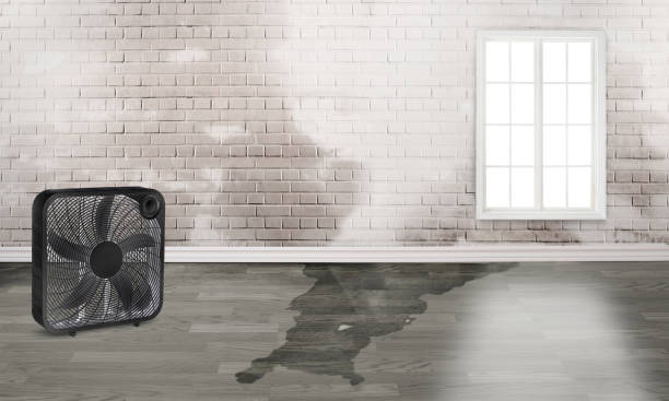 Best Water damage restoration services  in Wilkshire Hills, OH