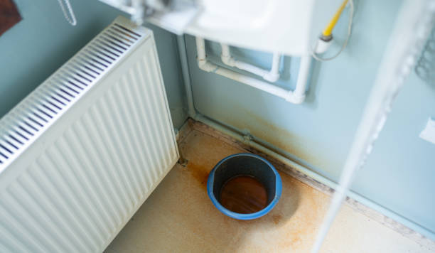 Best Water damage mitigation services  in Wilkshire Hills, OH