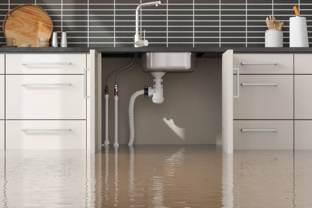 Best Water damage contractors near me  in Wilkshire Hills, OH