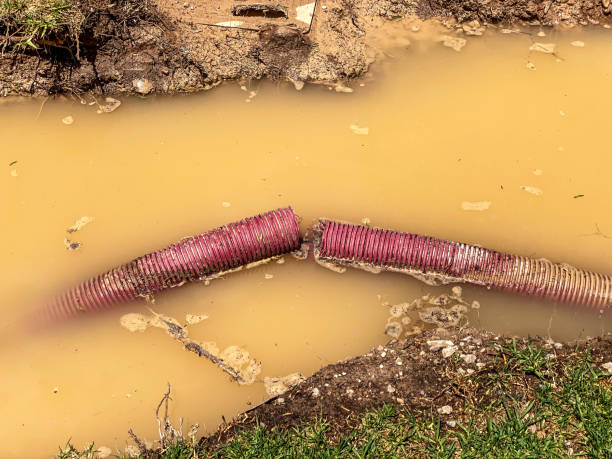 Best Professional water damage repair  in Wilkshire Hills, OH